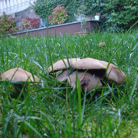 ニエンブロJardin San Pelayoアパートメント エクステリア 写真